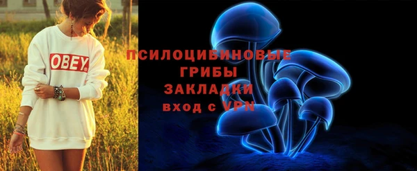 spice Михайловск