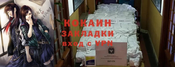 кокс Михайлов