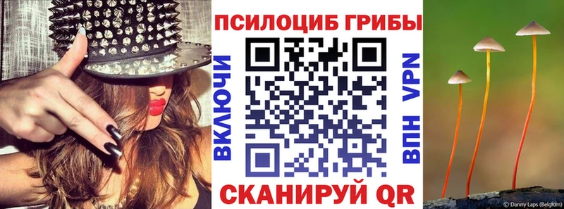закладки Яхрома Псилоцибиновые грибы ЛСД