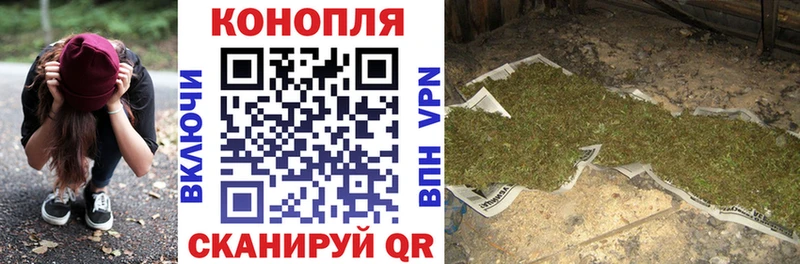 дарнет шоп  Яхрома  Марихуана ГИДРОПОН 